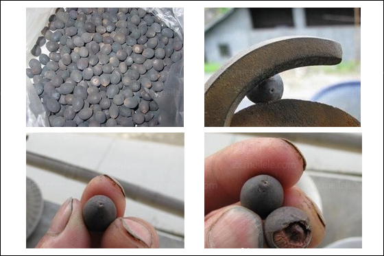 碗莲的种植方法水培视频教程和注意事项 碗莲烂叶片是怎么回事?