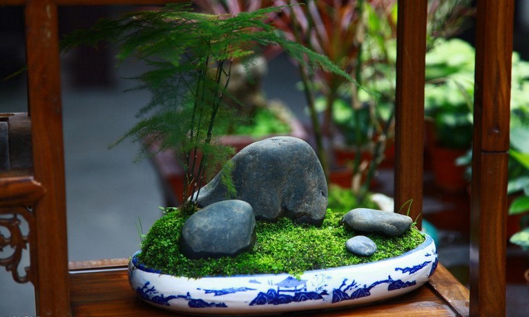 �������ֳ������ע������޼�����ͼ�� ����Ҷ�ӷ�����ô����