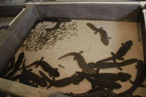 ˹ֳΥҪʲô֤?ֳ¼۸