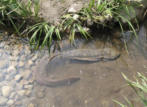 ˹ֳΥҪʲô֤?ֳ¼۸