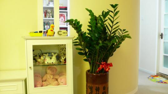 ��Ǯ���Ƿ��ж�����������ֲ��?��Ǯ����ȥ��ȩ����и���û�к�