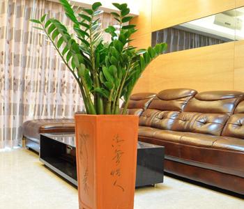 ��Ǯ���Ƿ��ж�����������ֲ��?��Ǯ����ȥ��ȩ����и���û�к�