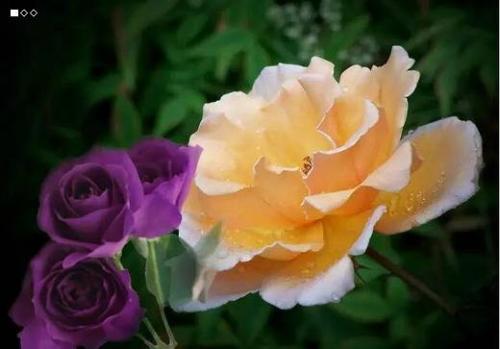 �����¼�������ֳ������ע������,�¼����Ĺ�Ч����������Щ����