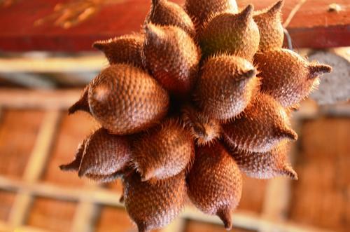 中国哪里有蛇皮果种植技术条件要求,蛇皮果功效与作用怎么吃图解