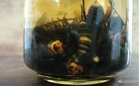 ˹ֳͷ似ͼ,ͷݾƹЧʳý