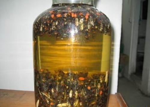 ˹ֳͷ似ͼ,ͷݾƹЧʳý