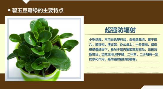 ��������ֳ������ע��������ô��ֳ,�������Ƿ��ж����Է�������