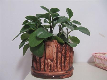 ��������ֳ������ע��������ô��ֳ,�������Ƿ��ж����Է�������