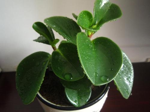 �����̵�Ǥ�己ֳ��������ͼ��,�����̳�̫����ô���޼�����ͼ��