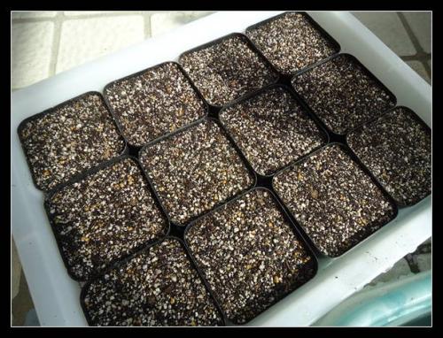 ʯ򵥵Ĳȫ̽,ʯòſôֳ