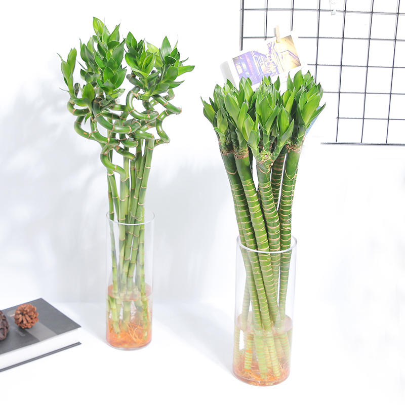 תֳעڷķˮ ת񳤸ô޼