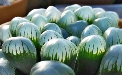 ������¶�뼧��¶���������𷽷�����,������¶����Ǯһ��۸��