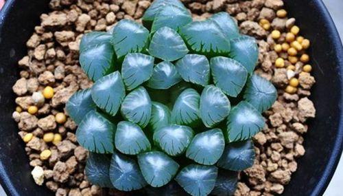 ������¶�뼧��¶���������𷽷�����,������¶����Ǯһ��۸��