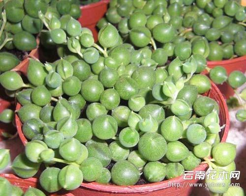 �����������������ô����ˮ����,���������������ô��������