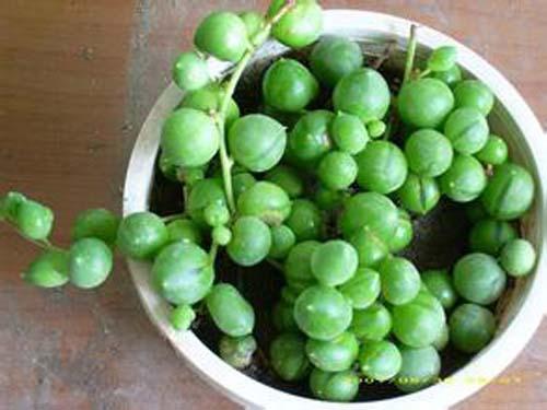 �����������������ô����ˮ����,���������������ô��������