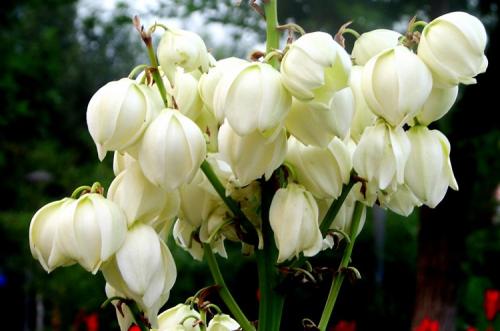 ��β���ͽ�����ʲô��������ּ���,��β�����ж���Ч������