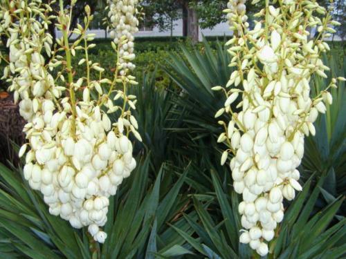 ��β���ͽ�����ʲô��������ּ���,��β�����ж���Ч������