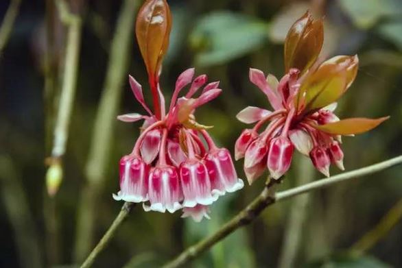 �������Ƿ��ж���Ч�����ü�����֢ ���������ＰͼƬƷ�ִ�ȫ