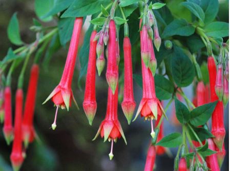 �������Ƿ��ж���Ч�����ü�����֢ ���������ＰͼƬƷ�ִ�ȫ