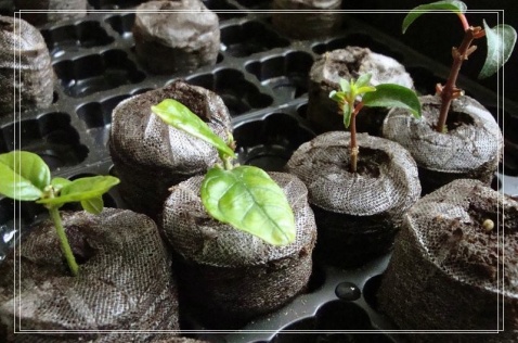 ������Ǥ�己ֳ�������ķ�����ô�޼� ��������ֳ������ע������