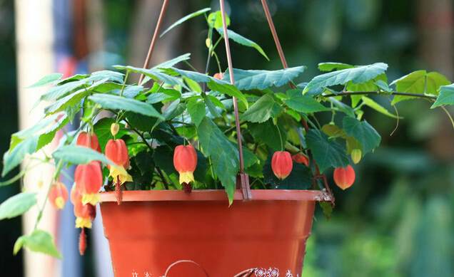 ������Ǥ�己ֳ�������ķ�����ô�޼� ��������ֳ������ע������