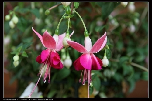 ������Ǥ�己ֳ�������ķ�����ô�޼� ��������ֳ������ע������