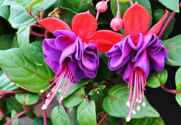 ������Ǥ�己ֳ�������ķ�����ô�޼� ��������ֳ������ע������