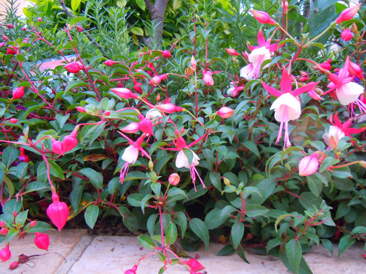 ������Ǥ�己ֳ�������ķ�����ô�޼� ��������ֳ������ע������