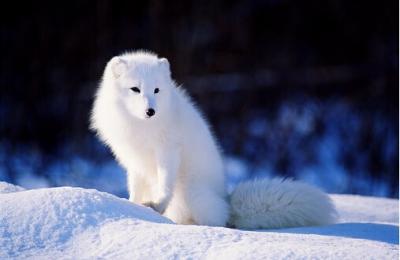 ֳ̳̼עôëƤ⻬ 2017Ǽ