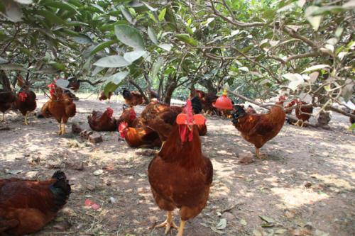 ʲô׬Ǯô׬Ǯ ӦעЩ