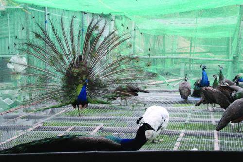 ȸЩƷһ׬Ǯȸֳɱǰ۸