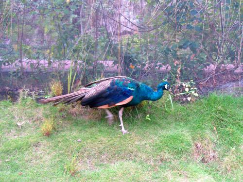 ȸЩƷһ׬Ǯȸֳɱǰ۸