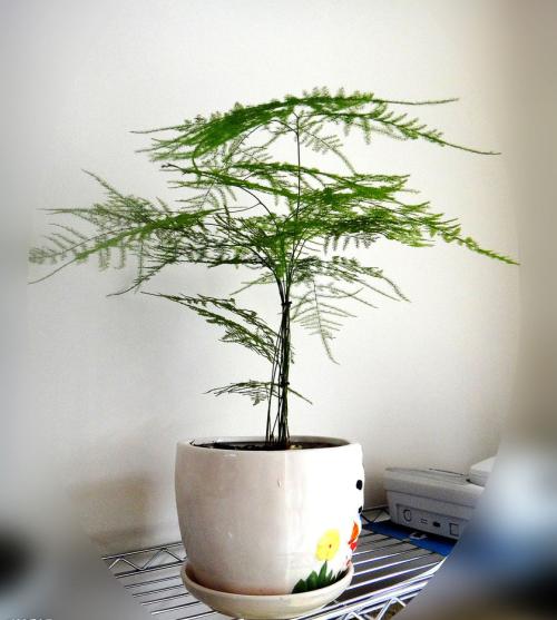 ������ɶԢ����ô���������ͺÿ�����Ҷ����������ñ���������