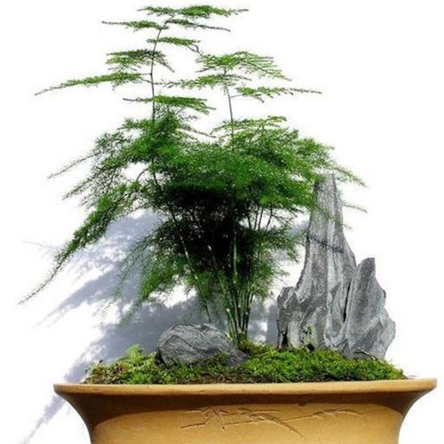 ������ɶԢ����ô���������ͺÿ�����Ҷ����������ñ���������