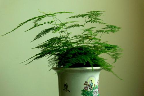 ������ɶԢ����ô���������ͺÿ�����Ҷ����������ñ���������