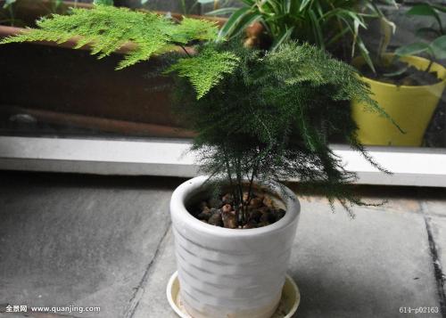 ������ɶԢ����ô���������ͺÿ�����Ҷ����������ñ���������