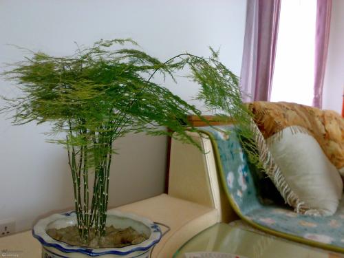 ������ɶԢ����ô���������ͺÿ�����Ҷ����������ñ���������