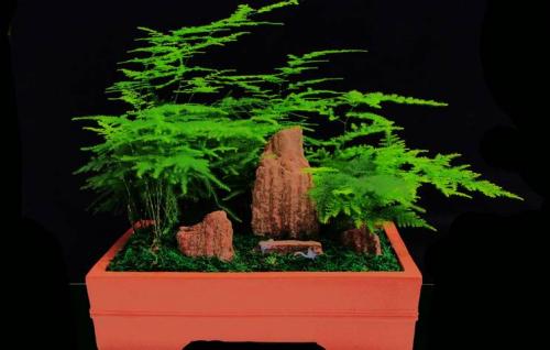 ������ɶԢ����ô���������ͺÿ�����Ҷ����������ñ���������