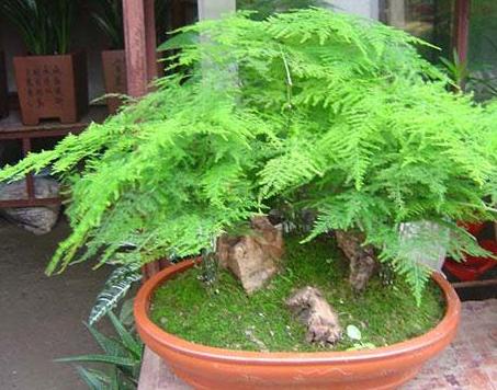 ������ɶԢ����ô���������ͺÿ�����Ҷ����������ñ���������