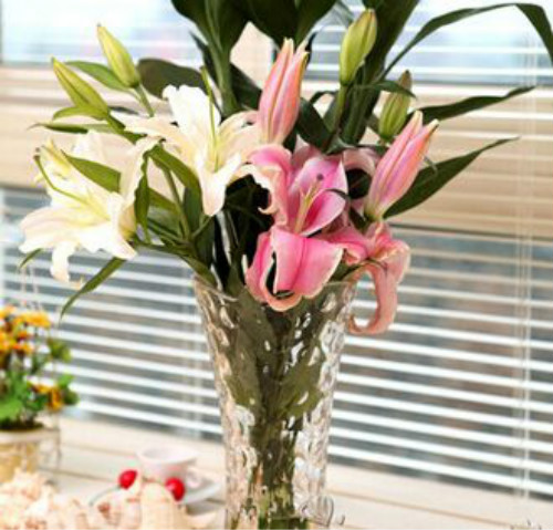 �ٺ���ˮ���� ˮ��ٺϻ���ô�� �ٺ�ˮ�����ֳ������ע������