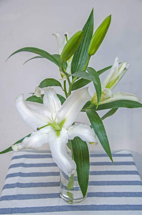 �ٺ���ˮ���� ˮ��ٺϻ���ô�� �ٺ�ˮ�����ֳ������ע������