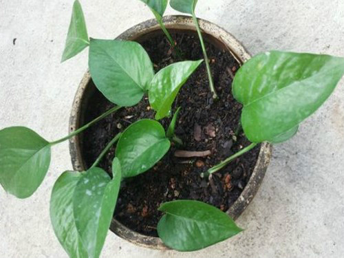 ˮ��������ô���� ����ˮ��û�������� ˮ��ת����Ҫע��ʲô