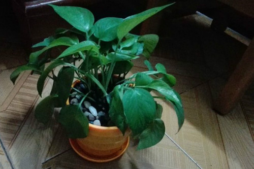 ˮ��������ô���� ����ˮ��û�������� ˮ��ת����Ҫע��ʲô