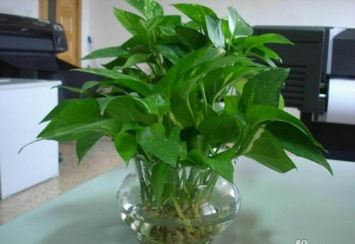 ˮ��������ô���� ����ˮ��û�������� ˮ��ת����Ҫע��ʲô