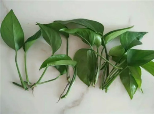 ˮ��������ô���� ����ˮ��û�������� ˮ��ת����Ҫע��ʲô