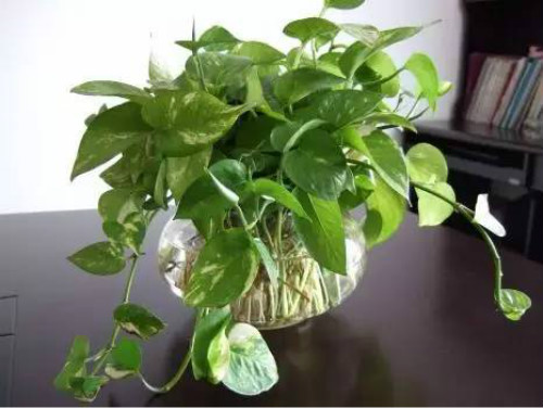 ˮ��������ô���� ����ˮ��û�������� ˮ��ת����Ҫע��ʲô