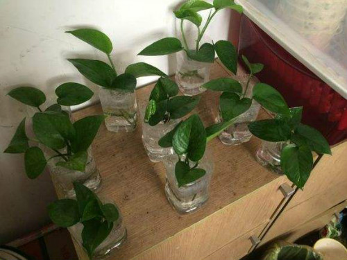 ˮ��������ô���� ����ˮ��û�������� ˮ��ת����Ҫע��ʲô