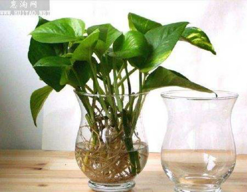 ˮ��������ô���� ����ˮ��û�������� ˮ��ת����Ҫע��ʲô