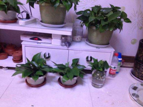 ˮ��������ô���� ����ˮ��û�������� ˮ��ת����Ҫע��ʲô