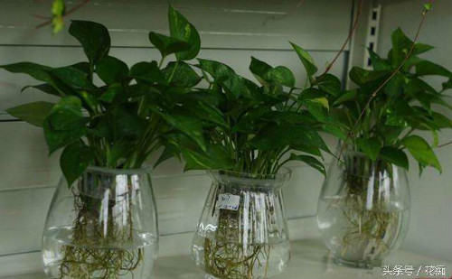 ˮ��������ô���� ����ˮ��û�������� ˮ��ת����Ҫע��ʲô